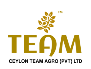 Copy of TEAM Product