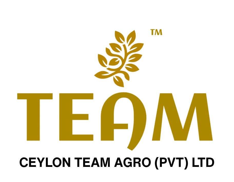 Copy of TEAM Product (1)